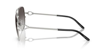 Das Bild zeigt die Bügel der Ralph Sonnenbrille RL7087 90018G.